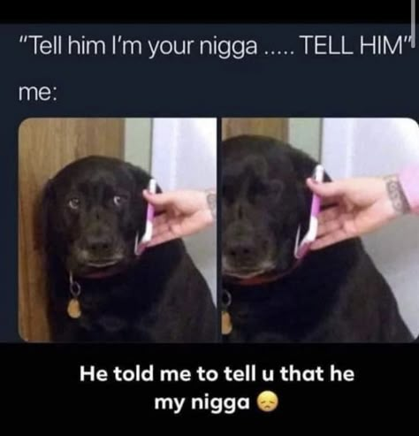 Funny Black People, Twitter Funny, Funny Asf, Worst Day, Twitter Quotes Funny, Relatable Post Funny, Very Funny Pictures, Funny Profile Pictures, Funny Reaction Pictures