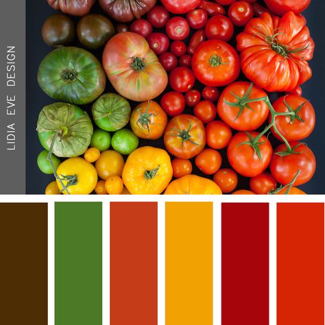 tomato theme Tomato Color Palette, Fast Pasta, Food Colors Palette, Tomato Color, Website Color Palette, Color Mixing Chart, Color Palette Challenge, Red Tomato, Brand Color Palette