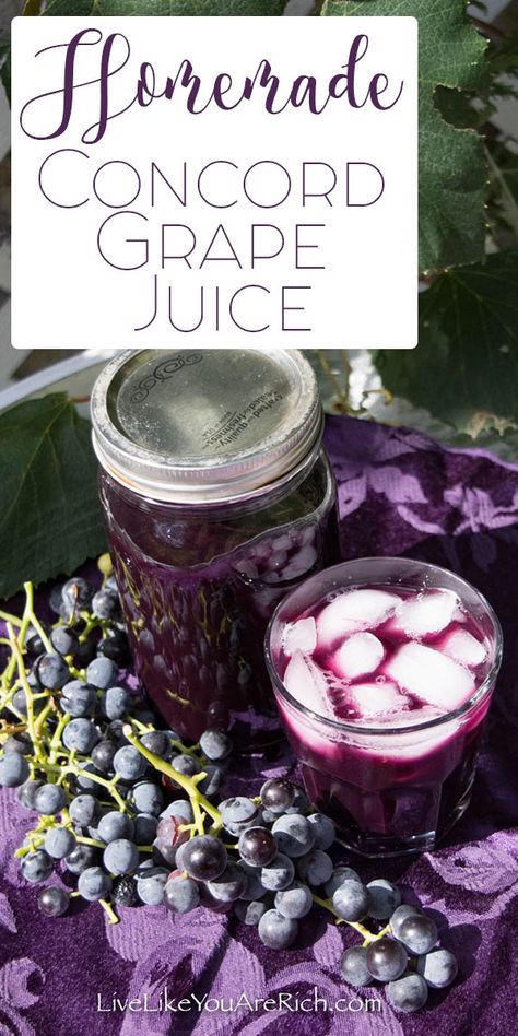 Concord Grape Juice Recipe, Concord Grape Recipes, Homemade Grape Juice, Concord Grape Juice, Grape Juice Recipe, Pickle Juice Uses, Drinks Breakfast, Best Juicing Recipes, Grape Recipes