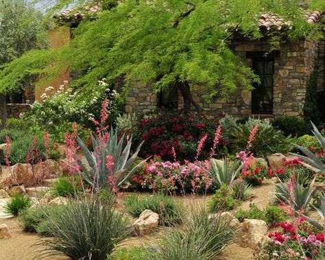 Las Vegas Desert Landscaping Ideas, Pictures, Remodel and Decor Desert Landscape Front Yard, Desert Landscape Design, Succulent Landscape Design, Landscape Gardening, Succulent Landscaping, Mediterranean Landscaping, Desert Garden, Traditional Landscape, Landscaping Tips