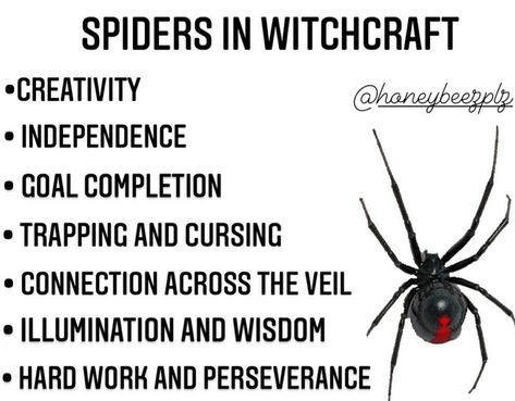 Spider Meaning In Witchcraft, Spiders In Witchcraft, Spider Omens Witchcraft, Spider Spiritual Meaning, Spider Symbolism, Animal Omens, Spider Totem, Spirit Animal Meaning, Animal Meanings