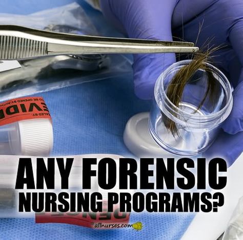 Learn about Forensic Nursing and where to find programs... Sane Nurse, Forensic Nursing, Forensic Nurse, Nursing Hacks, Nursing Labs, Clinical Nurse Specialist, Clinical Nurse, Forensic Scientist, Nurse Rock