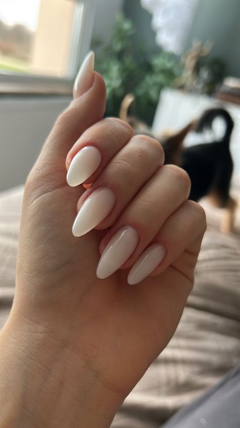 Milky white nails Creme Nails Acrylic Almond, Milky White Nails Badem, Nut White Almond Nails, Opaque White Almond Nails, Basic Milky White Nails, King Almond Nails, Milky White Nails Acrylic Almond Long, Natural Almond Nails Milky White, Cream Color Almond Nails