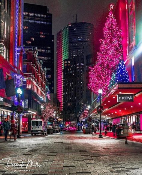 Boston Holiday Lights Trail | View the 2022 Schedule Massachusetts Christmas, Boston Christmas, Halifax Explosion, City Holiday, Columbus Park, Nhl Winter Classic, Newbury Street, Downtown Boston, Boston Common