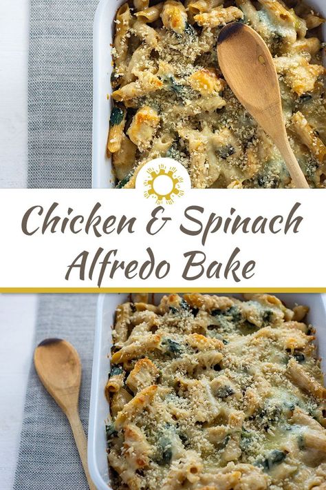 Combine a bunch of basic ingredients to make chicken and spinach alfredo bake with ingredients that are often found in the kitchen. #chicken #spinach #casserole #dinner #alfredo Chicken Spinach Casserole, Chicken Alfredo Spinach, Chicken And Spinach Alfredo, Chicken And Spinach Casserole, Spinach Casserole Recipes, Creamy Spinach Chicken, Alfredo Casserole, Chicken Alfredo Casserole, Chicken Casserole Dinners