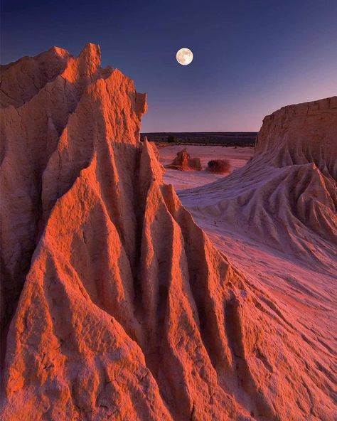 Sand Dune Aesthetic, Desert Collage, Desert Inspiration, Desert Aesthetic, Desert Dream, Life On Mars, Have Inspiration, Nsw Australia, Zion National Park