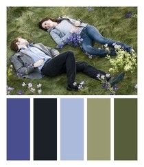 Twilight Aesthetic Color Palette, Twilight Colors Palette, Prom Color Palette, Twilight Colour Palette, Twilight Homescreen, Meadow Twilight, Twilight Color Palette, Twilight Coloring, Twilight Meadow