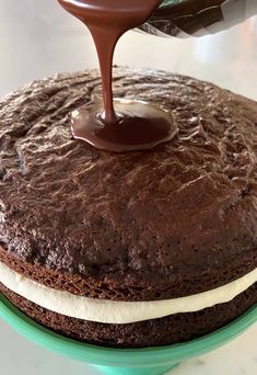 Ring Ding Cake, Ding Dong Cake Recipe, Easy Chocolate Cake Recipe, Cake Pucks, Ding Dong Cake, Picky Palate, Choc Cake, Baked Dessert, Flat Cakes