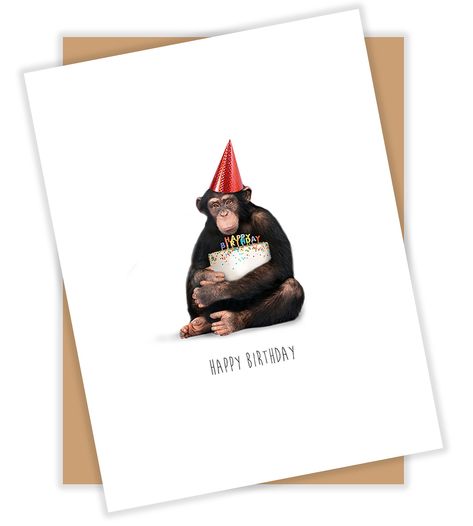 Monkey Birthday Card, Monkey Birthday, Funny Monkey, Studio Cards, Monkeys Funny, Dog Wall Art, Merry Christmas And Happy New Year, Funny Cards, Birthday Humor