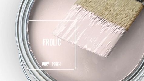 FROLIC 190C-1 | Behr Paint Colors Pink Paint Living Room, Feminine Paint Colors, Soft Pink Paint Color, Girls Bedroom Paint Colors, Paint 2024, Behr Exterior Paint, Guest Room Paint, Girls Bedroom Paint, Home Wall Colour