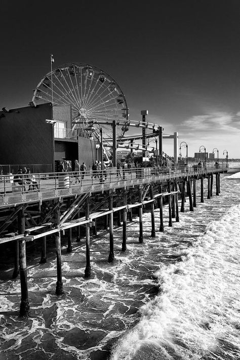 Los Angeles Black And White, Aesthetic Los Angeles, La Aesthetic, Los Angeles Aesthetic, Palm Tree Art, Hypebeast Wallpaper, Santa Monica Beach, Santa Monica California, California Photography