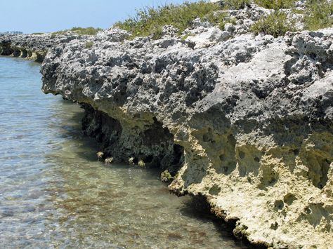 Rock Weathering | ... weathering further evidence of physical weathering and chemical Biological Weathering, Physical Weathering, Chemical Weathering, Sea Level Rise, Metamorphic Rocks, Science Project, Beautiful Rocks, The Bahamas, Paradise Island