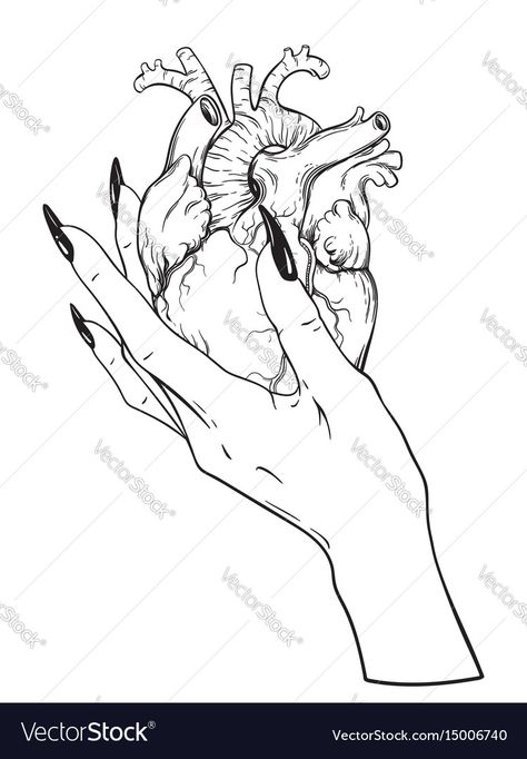 Human Heart Drawing, Hands Holding Heart, Herz Tattoo, Hand Drawn Vector Illustrations, Heart Drawing, Desenho Tattoo, Dark Art Drawings, Human Heart, Hand Drawn Vector