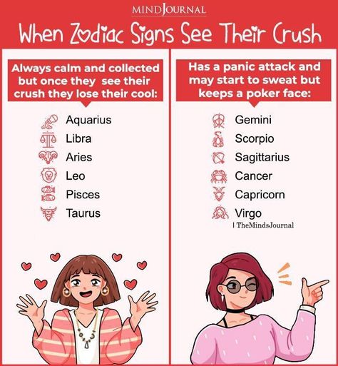 How Dangerous Is Each Zodiac Sign, Libra Crushing, How Sagittarius Sees The Signs, When Sagittarius Has A Crush, Aquarius And Sagittarius Relationship, Crush Zodiac Signs, Gemini And Sagittarius Relationship, Sagittarius And Capricorn Relationship, Zodiac Relationship Dynamics