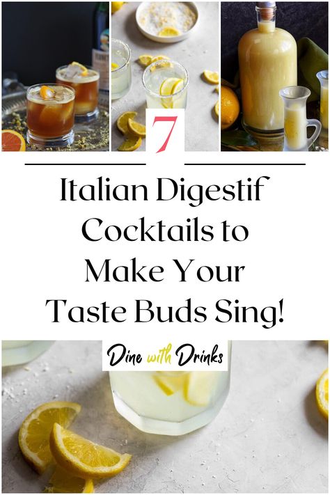 Collage of 4 italian digestif cocktails. Italian After Dinner Drinks, Digestif Cocktails, Italian Digestif, After Dinner Cocktails, Italian Cocktails, Cocktail Serving, Fancy Cocktails, Wanting More, Drink Me