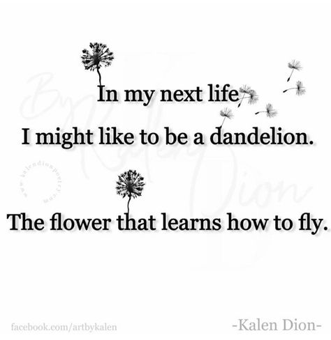 Dragonfly Meaning Spiritual, Dandelion Quotes, Dandelion Pictures, A Dandelion, Glue Book, Learn To Fly, Program Ideas, Language Of Flowers, Word Of Mouth