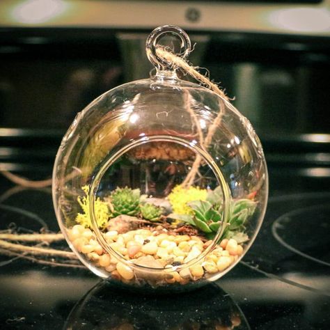 How to Make a Terrarium Nautical Rope Decor, Make Your Own Terrarium, Make A Terrarium, Mason Jar Planter, Hanging Glass Terrarium, Chalk Paint Mason Jars, Beautiful Bathtubs, Wine Cork Projects, Beautiful Terrariums