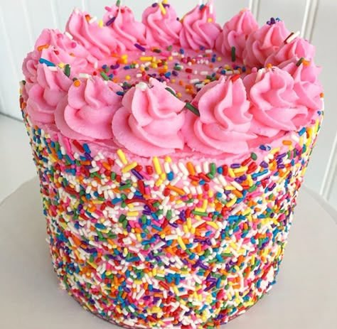 Sprinkle Decorated Cake, Pink Cake With Sprinkles, Preppy Birthday Cake Sprinkles, Pink Sprinkle Birthday Cake, Preppy Birthday Cake, 21st Birthday Cake Sprinkles, Spanish Cake, Simple Anniversary Cakes, Sprinkle Cakes