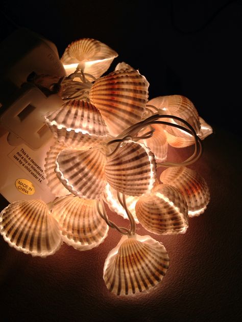 Surf Room Ideas, Seashell Light, Ocean Room Ideas, Shell Lights, Oyster Shells Decor, Ocean Bedroom, Surf Room, Shell Light, Ocean Room