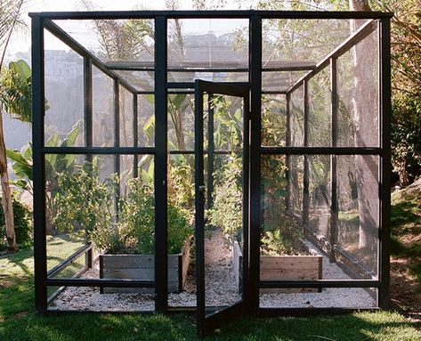 Garden Enclosure Ideas, Garden Enclosure, Modern Greenhouses, Enclosed Garden, Vege Garden, Mini Serre, Edible Gardens, Low Maintenance Garden, Veg Garden