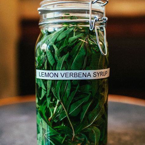 Lemon Verbena Recipes, Syrup Recipes, Simple Syrup Recipes, Herb Gardens, Herb Recipes, Herbal Recipes, Herbal Apothecary, Rum Cocktail, Garden Harvest