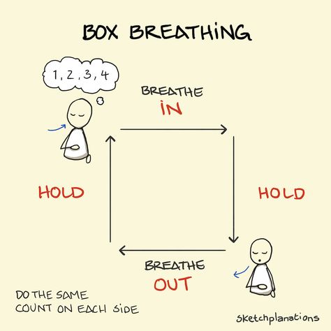 Sketchplanations - A weekly explanation in a sketch Box Breathing Animation, Holding Breath, Calm Box, Square Breathing, Box Breathing, Shifting Realities, Focus On The Present, Lower Cortisol Levels, Simple Sketches