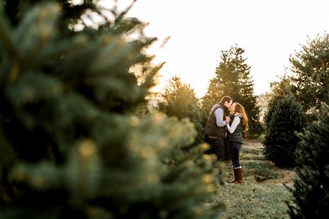 Maternity Photography Tree Farm, Christmas Tree Farm Photo Shoot With Dog, Maternity Tree Farm Pictures, Maternity Christmas Tree Farm, Couple Christmas Tree Farm Photos, Tree Farm Engagement Pictures, Family Tree Farm Photos, Christmas Tree Farm Photo Shoot Couple, Tree Farm Maternity Photos