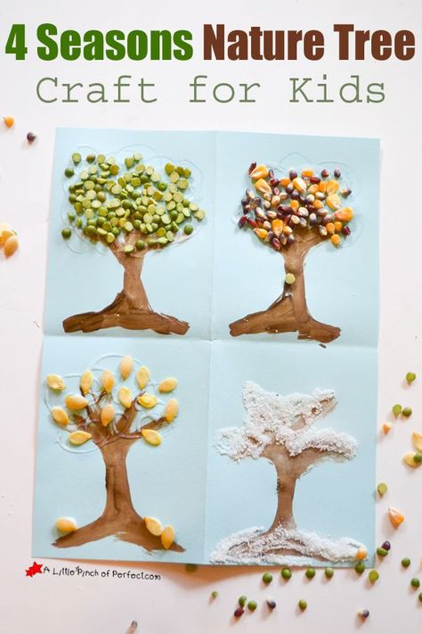 4 Seasons Nature Tree Craft for Kids-Use natural craft supplies to decorate painted trees for spring, summer, fall, and winter. Four Seasons Crafts For Kids, 4 Seasons Craft, Seasons Song, Painted Trees, Primary Songs, Seasons Activities, School Songs, Easter Wallpaper, Tree Craft