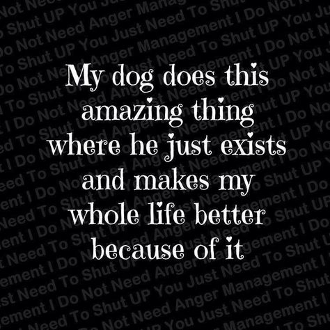 I recently lost my baby girl. She is my whole world and don't know how lo live without her. This is so true. My world was so much better because of her! thecreampiesurprise.com Lou Dog, Petit Basset Griffon Vendeen, Fina Ord, Love My Dog, Border Terrier, My Whole Life, Burger Recipes, Labradoodle, Dog Quotes