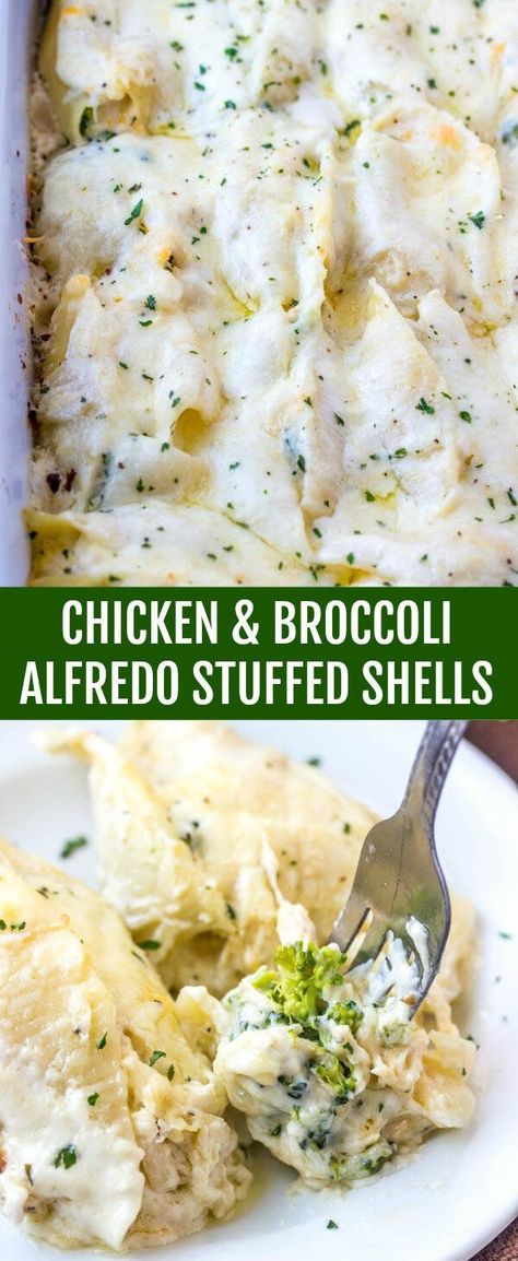 Alfredo Broccoli, Chicken And Broccoli Alfredo, Chicken Alfredo Stuffed Shells, Alfredo Stuffed Shells, Dinner Recepies, Chicken Stuffed Shells, Chicken Broccoli Alfredo, Pasta Easy, Pasta Recipes Alfredo