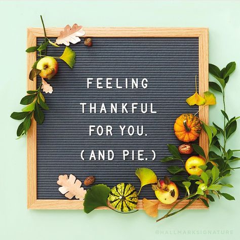 Think.Make.Share Blog on Instagram: “🥧🥰🍂 We have so much love for so many types of pies. Are you team pumpkin? Team Pecan? Team apple cider cream a la mode? (Do we really have…” Thanksgiving Letter Board, Saying Grace, Florida Fall, Letterboard Signs, Thanksgiving Letter, Whipped Cream Topping, Types Of Pie, I Fall To Pieces, Sidewalk Sign