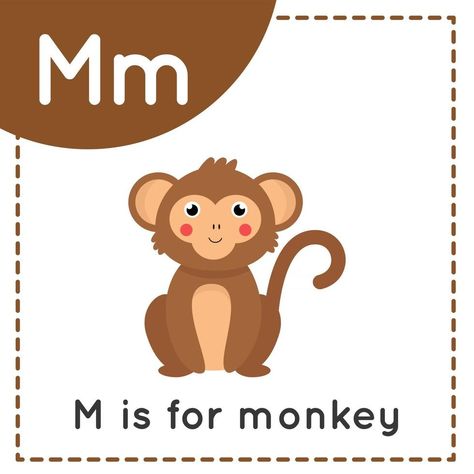 English Alphabet For Kids, Letter Learning, English Transition Words, Cartoon Monkey, S Alphabet, Class Decor, Printable Flash Cards, Letters For Kids, Bday Cake