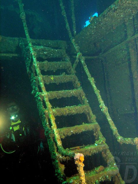 Wrecks of Truk lagoon Underwater Shipwreck Art, Underwater Ship Wrecks, Underwater Wreckage, Abandoned Places Underwater, Underwater Shipwreck, Scary Ocean, Underwater Ruins, Britannic Wreck, Eerie Places