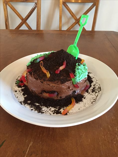 Worms And Dirt Cake, Worm Birthday Cake, Weird Desserts, Dirt And Worms, Worm Cake, Gummy Recipe, 19th Bday, Spider Cake, Gummy Worm