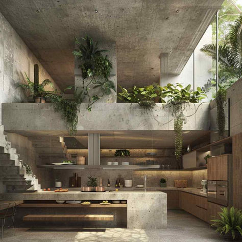 76 Brutalist Kitchens: Merging Concrete Coolness with Tropical Luxe Brutalist Design Interior, Industrial Tropical Interior, Tropical Brutalism Architecture, Industrial Tropical House, Brutalist Architecture Aesthetic, Tropical Industrial House, Modern Concrete Interior Design, Brutalist Architecture House, Eco Brutalism Interior