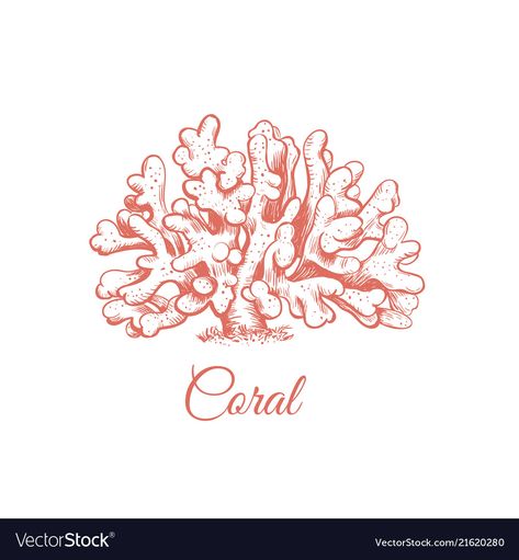 Coral Sketch, Coral Tattoo, Coral Logo, Coral Drawing, Sea Vector, Coral Painting, Coral Draw, Sea Illustration, Underwater Theme