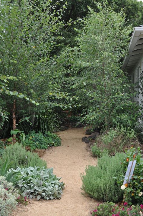 Landscaping Under Deck, Beach House Landscaping, Tropical Backyard Landscaping, Vege Garden, Australian Garden Design, Brick Garden Edging, Under Deck, Garden Landscaping Ideas, Bush Garden