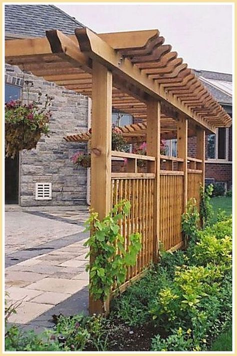 Pergolas - Be Awesome - Stop Looking! Get all your needs met from one of the leading online retailers. Privacy Fence Landscaping, Patio Small, Backyard Small, Backyard Privacy, Pergola Design, Garden Screening, Privacy Screen Outdoor, Backyard Pergola, Outdoor Privacy