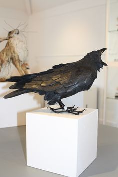 Fantasy | Whimsical | Strange | Mythical | Creative | Creatures | Dolls | Sculptures | Joe Lawrence crow sculpture Crow Sculpture, Raven Sculpture, Creative Creatures, Sculpture Design, Raven Bird, Crow Bird, Black Birds, Crow Art, Raven Art