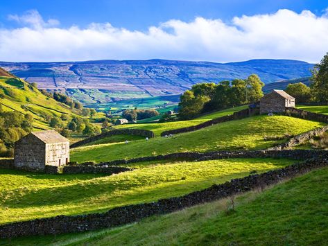 The Rolling Hills Of Yorkshire… 11 Photos That Will Make You Want To Visit Yorkshire! Rolling Hills Painting, Hills Painting, Yorkshire Dales National Park, Sunday Photos, Yorkshire Dales, England And Scotland, Rolling Hills, Yorkshire England, English Countryside