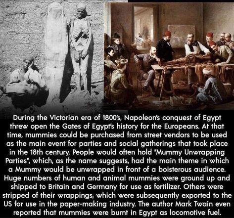 Historical Facts Creepy, Learning History, Creepy History, Studying Memes, Egyptian Mummies, Street Vendors, Creepy Facts, Facts You Didnt Know, History Facts Interesting