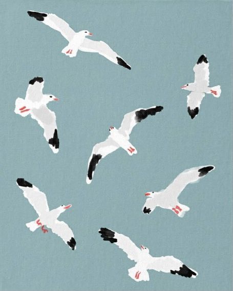 Seagull Bird Painting Hand Drawn illustration printed products gifts - Turquoise Background Seagulls In Flight Paintings, Seabird Aesthetic, Seagulls Flying Painting, Seagull Painting Easy, Drawing Seagulls, Seagulls Drawing, Seagulls Illustration, Seagulls Watercolor, Painted Seagulls