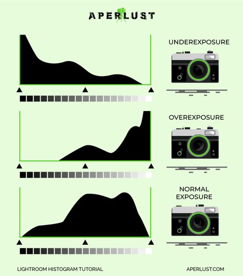 Histogram Tutorial Graph Most Famous Photographers, Beginner Photography, Exposure Photography, Photography Tips For Beginners, Famous Photographers, Photography Gear, Photography For Beginners, Student Encouragement, Grey Tones