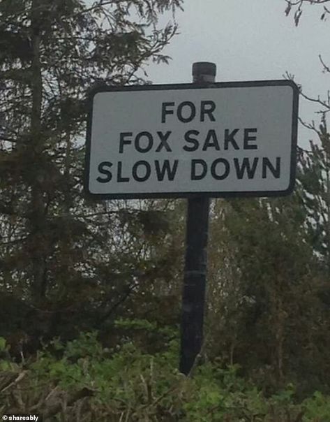 Funny Street Signs, Funny Warning Signs, Funny Road Signs, For Fox Sake, Fox Sake, Street Sign, Road Signs, Street Signs, Warning Signs