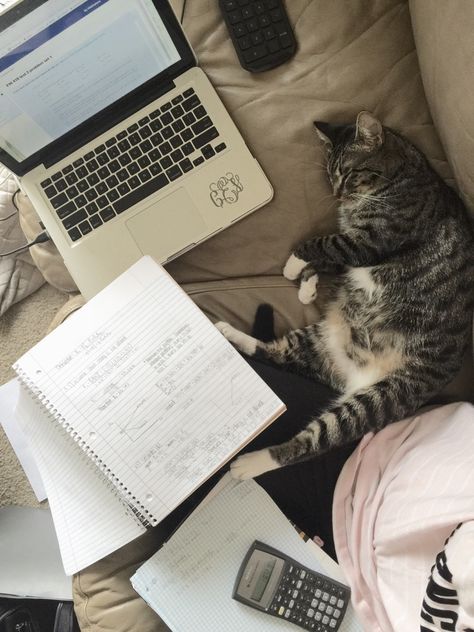 organizedaccountancy: A lazy, but productive Sunday. Effective Notes, Productive Sunday, Do Your Homework, Paying Attention, School Aesthetic, Book Making, Reading Writing, Homework, How To Become