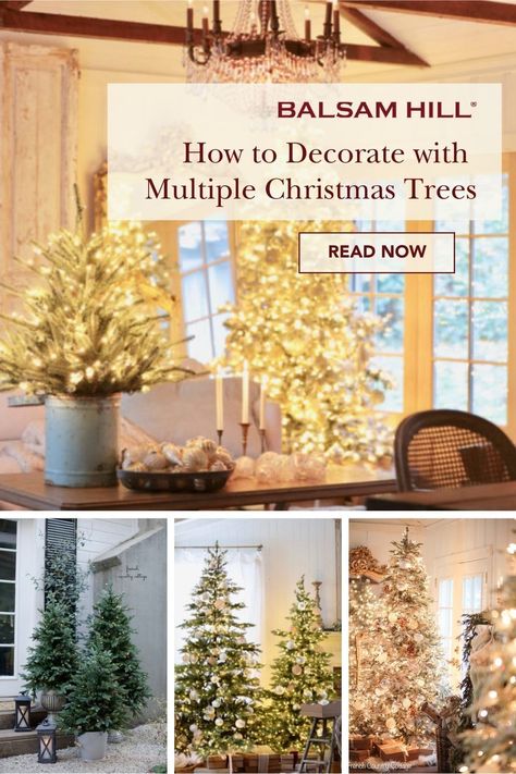 Level up your holiday centerpiece with a Christmas tree cluster display. Courtney of frenchcountrycottage shares expert tips on how to decorate one room with multiple trees. Multi Christmas Trees, Multiple Small Christmas Trees, Several Christmas Trees In One Room, Triple Christmas Trees, Decorating With Multiple Christmas Trees, Multi Christmas Tree Display, 2 Christmas Trees In One Room, Multiple Christmas Tree Display, 2 Christmas Trees Together