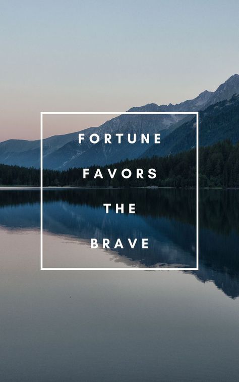 Costa Leona Series, Fortune Favors The Brave, The Brave, The Wild, Highway Signs, Brave, Quick Saves