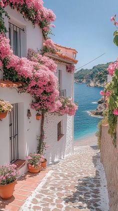 Pastel Travel Aesthetic, Greece Pink Aesthetic, Italy Nature Aesthetic, Calming Wallpaper Aesthetic, Mediterranean Aesthetic Wallpaper, Bougainvillea Greece, Bougainvillea Beach, Bougainvillea Aesthetic, Flowers In Greece