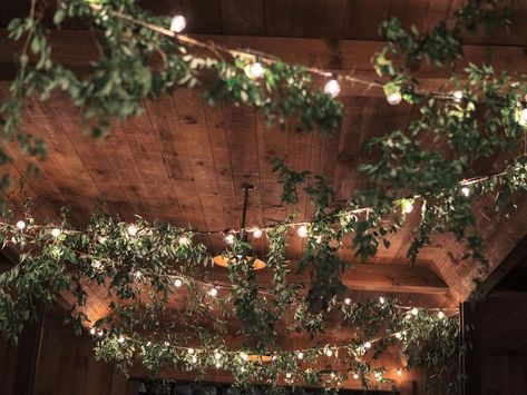 Greenery Ceiling With Fairy Lights, Ivy And Fairy Lights Ceiling, Cottagecore Ceiling Decor, Enchanted Forest Wedding Reception Indoor, Hanging Vines Wedding Decor, Hanging Vines With Lights, Foliage Table Centerpieces, Indoor Earthy Wedding, Forest Ceiling Decorations