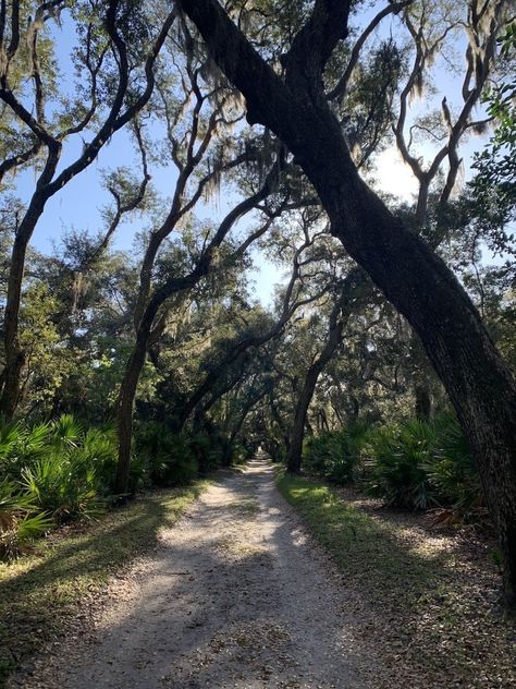 Cumberland Island, Historic Savannah, Forsyth Park, Haunted Hotel, Island Park, Ghost Tour, Savannah Ga, Sand Dunes, Wild Horses